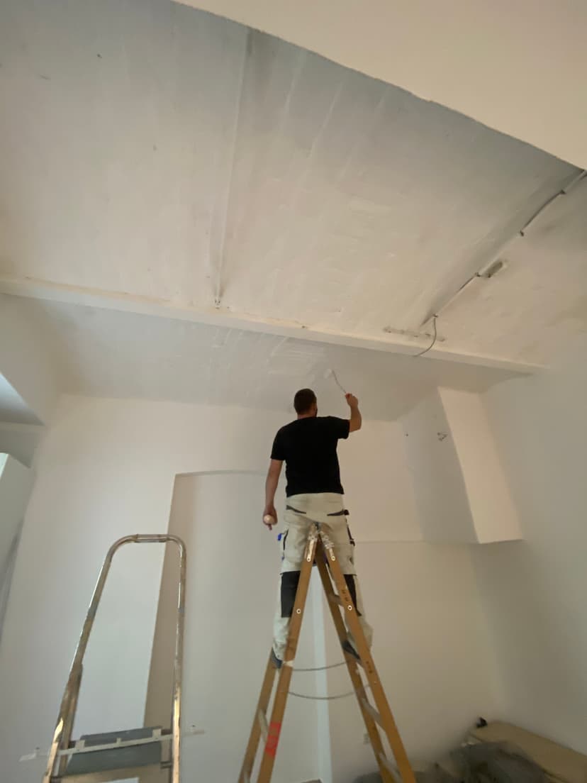 Painting &<1/>Plastering